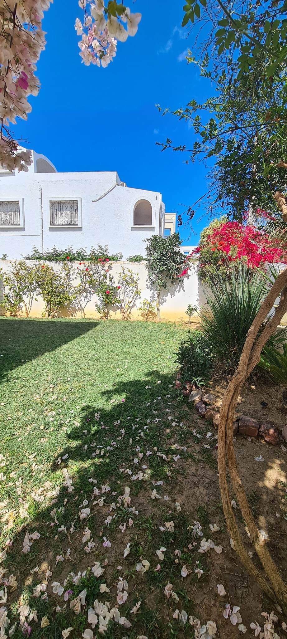 Beni Khiar El Maamoura Location vacances Maisons Villa  coupoles avec jardin proche mer